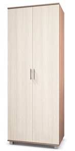 Шкаф 2-дверный Modern Е-20, Ясень шимо светлый/темный в Южно-Сахалинске