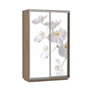 Шкаф 2-дверный Экспресс 1200x600x2200, Орхидея белая/шимо темный в Южно-Сахалинске