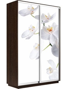 Шкаф Экспресс 1400x600x2200, Орхидея белая/венге в Южно-Сахалинске