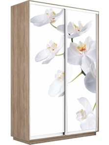 Шкаф двухдверный Экспресс 1400x600x2400, Орхидея белая/дуб сонома в Южно-Сахалинске