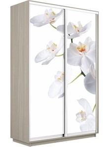 Шкаф 2-х створчатый Экспресс 1600x600x2400, Орхидея белая/шимо светлый в Южно-Сахалинске