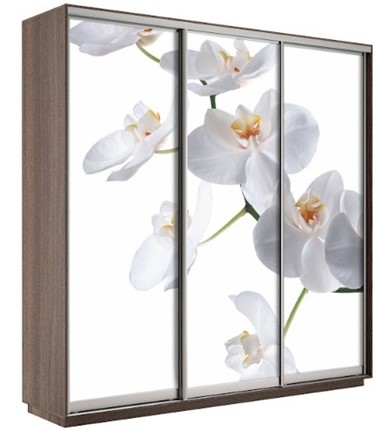 Шкаф 3-дверный Экспресс 1800х600х2200, Орхидея бела/шимо темный в Южно-Сахалинске - изображение