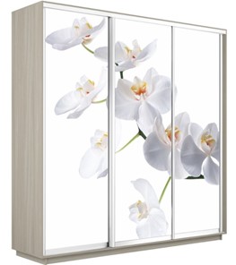 Шкаф 3-дверный Экспресс 2100х600х2200, Орхидея белая/шимо светлый в Южно-Сахалинске