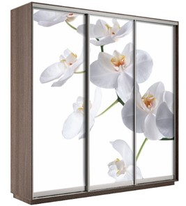 Шкаф Е1 Экспресс 2400х600х2400, Орхидея белая/шимо темный в Южно-Сахалинске