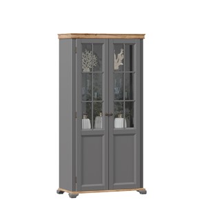 Шкаф двухстворчатый с стеклом Амели (Оникс серый) ЛД 642.890 в Южно-Сахалинске