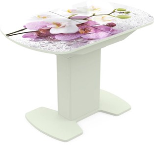 Кухонный стол раскладной Корсика исп. 1 Фотопечать (Цветы №44) 1100(1415)*700 в Южно-Сахалинске
