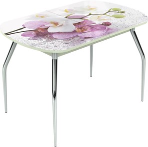 Кухонный раздвижной стол Ривьера исп.1 ноги метал. крашеные №24 Фотопечать (Цветы №44) в Южно-Сахалинске