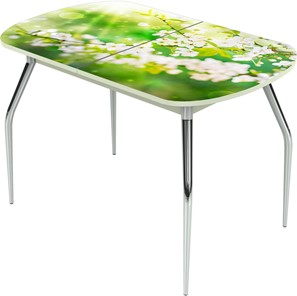 Кухонный стол раздвижной Ривьера исп.2 ноги метал. крашеные №24 Фотопечать (Цветы №45) в Южно-Сахалинске