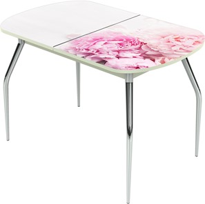 Обеденный раздвижной стол Ривьера исп.2 ноги метал. крашеные №24 Фотопечать (Цветы №49) в Южно-Сахалинске