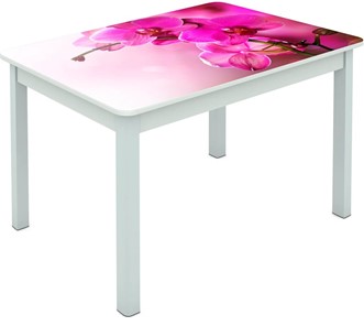Обеденный стол Мюнхен исп. 1 ноги метал. крашеные №23 Фотопечать (Цветы №16) в Южно-Сахалинске
