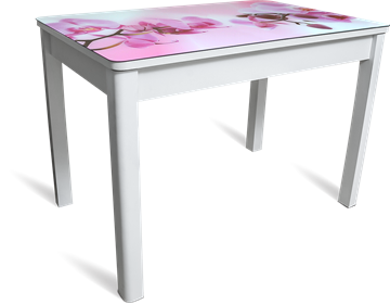 Кухонный стол раздвижной Айсберг-02 СТФ, белое лдсп/орхидея/40 прямые массив белые в Южно-Сахалинске
