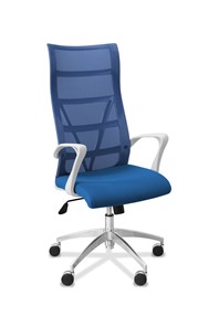Кресло офисное Топ X белый каркас, сетка/ткань TW / синяя/голубая в Южно-Сахалинске