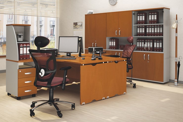 Офисный комплект мебели Милан для 2 сотрудников с тумбочками и большим шкафом в Южно-Сахалинске - изображение