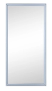 Настенное зеркало в спальню Ника (Серый) 119,5 см x 60 см в Южно-Сахалинске