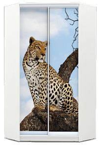 Шкаф 2400х1103, ХИТ У-24-4-77-04, Леопард, белая шагрень в Южно-Сахалинске