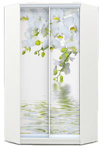 Угловой шкаф 2200х1103, ХИТ У-22-4-77-05, Белая орхидея, белая в Южно-Сахалинске