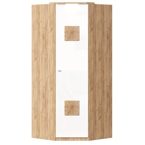 Шкаф угловой 45 с декоративной накладкой Фиджи, 659.248, белый в Южно-Сахалинске
