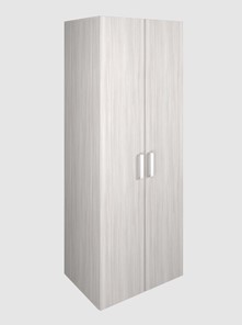 Шкаф для одежды 2-дверный арт.119.1, ЛДСП Ясень шимо светлый в Южно-Сахалинске