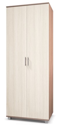 Шкаф 2-дверный Е-20, Ясень шимо светлый/темный в Южно-Сахалинске - изображение