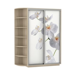Шкаф 2-створчатый Экспресс 1700x600x2200, со стеллажом, Орхидея белая/шимо светлый в Южно-Сахалинске