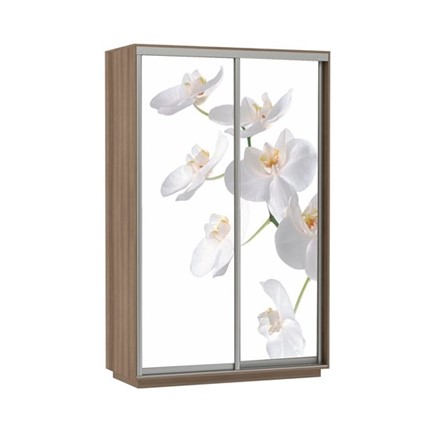 Шкаф Экспресс 1400x600x2400, Орхидея белая/шимо темный в Южно-Сахалинске - изображение