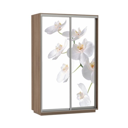 Шкаф 2-дверный Экспресс 1200x600x2200, Орхидея белая/шимо темный в Южно-Сахалинске - изображение