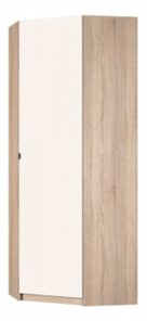 Угловой распашной шкаф Реал (YR-230х884-TR (9)-М Вар.2), без зеркала в Южно-Сахалинске