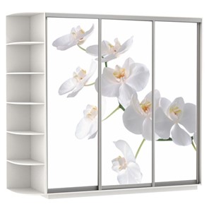 Шкаф трехдверный Экспресс со стеллажом, 2700х600х2200, Орхидея белая/белый снег в Южно-Сахалинске