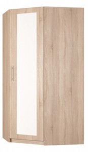Угловой шкаф распашной Реал (YR-198х1034 (7)-М, Вар.5), с зеркалом в Южно-Сахалинске - предосмотр