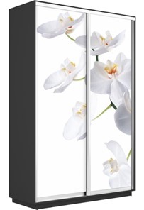 Шкаф 2-створчатый Экспресс 1200x450x2200, Орхидея белая/серый диамант в Южно-Сахалинске