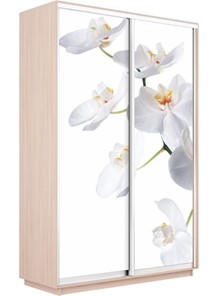 Шкаф двухдверный Экспресс 1200x600x2200, Орхидея белая/дуб молочный в Южно-Сахалинске - предосмотр