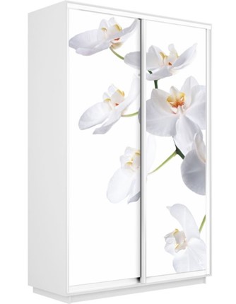 Шкаф Экспресс 1200x600x2400, Орхидея белая/белый снег в Южно-Сахалинске - изображение
