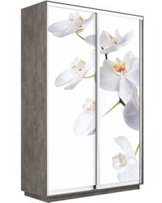 Шкаф 2-х дверный Экспресс 1200x600x2400, Орхидея белая/бетон в Южно-Сахалинске