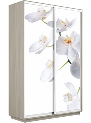 Шкаф-купе Экспресс 1200x600x2400, Орхидея белая/шимо светлый в Южно-Сахалинске - изображение