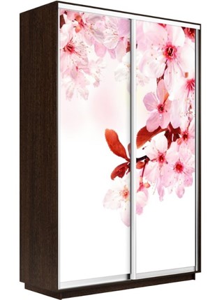 Шкаф 2-дверный Экспресс 1400x600x2200, Сакура/венге в Южно-Сахалинске - изображение