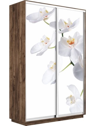Шкаф 2-х створчатый Экспресс 1400x600x2400, Орхидея белая/дуб табачный в Южно-Сахалинске - изображение
