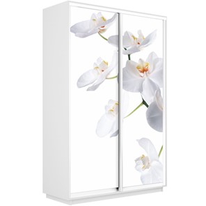 Шкаф 2-х дверный Экспресс 1600x450x2400, Орхидея белая/белый снег в Южно-Сахалинске - предосмотр