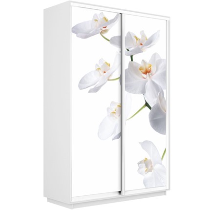 Шкаф 2-х дверный Экспресс 1600x450x2400, Орхидея белая/белый снег в Южно-Сахалинске - изображение