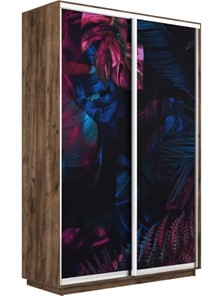 Шкаф 2-створчатый Экспресс 1600x600x2200, Джунгли темные/дуб табачный в Южно-Сахалинске