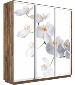 Шкаф 3-дверный Экспресс 1800х450х2200, Орхидея белая/дуб табачный в Южно-Сахалинске