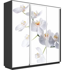 Шкаф Экспресс 1800х450х2400, Орхидея белая/серый диамант в Южно-Сахалинске