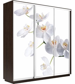 Шкаф 3-х дверный Экспресс 1800х450х2400, Орхидея белая/венге в Южно-Сахалинске