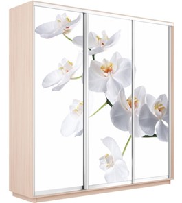 Шкаф 3-створчатый Экспресс 1800х600х2400, Орхидея белая/дуб молочный в Южно-Сахалинске