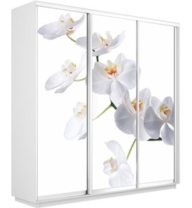 Шкаф 3-х створчатый Экспресс 2100х450х2200, Орхидея белая/белый снег в Южно-Сахалинске - предосмотр
