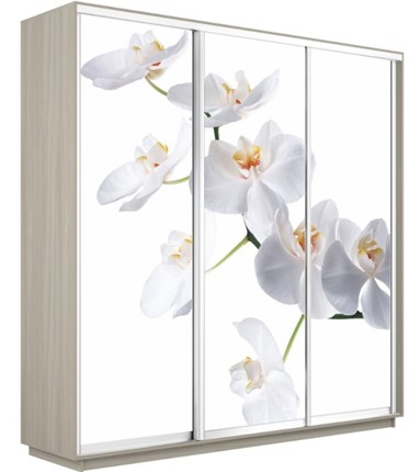 Шкаф 3-дверный Экспресс 2100х600х2200, Орхидея белая/шимо светлый в Южно-Сахалинске - изображение