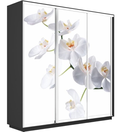 Шкаф-купе трехдверный Экспресс 2100х600х2400, Орхидея белая/серый диамант в Южно-Сахалинске - изображение