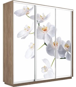 Шкаф трехдверный Экспресс 2400х600х2200, Орхидея белая/дуб сонома в Южно-Сахалинске
