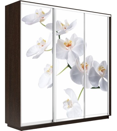 Шкаф Экспресс 2400х600х2400, Орхидея белая/венге в Южно-Сахалинске - изображение