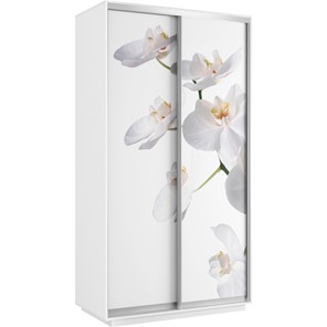 Шкаф двухдверный Хит 1200x600x2200, белая орхидея, белый снег в Южно-Сахалинске - предосмотр