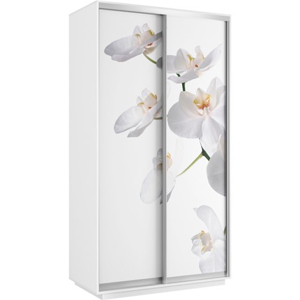 Шкаф двухдверный Хит 1200x600x2200, белая орхидея, белый снег в Южно-Сахалинске - изображение